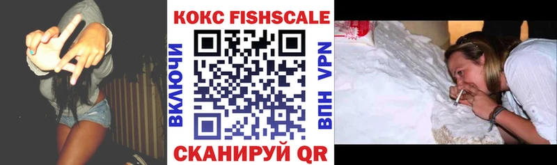 где найти   Щёкино  COCAIN Fish Scale 