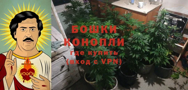 PSILOCYBIN Алзамай