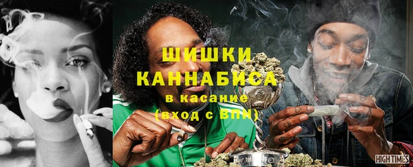 ПСИЛОЦИБИНОВЫЕ ГРИБЫ Алексин