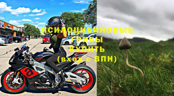 ПСИЛОЦИБИНОВЫЕ ГРИБЫ Алексин