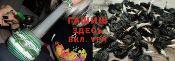 PSILOCYBIN Алзамай