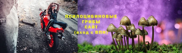 круглые Алексеевка