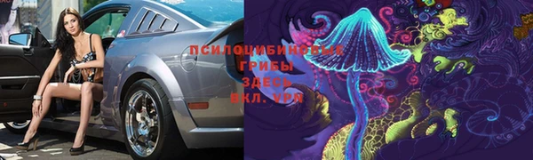 круглые Алексеевка
